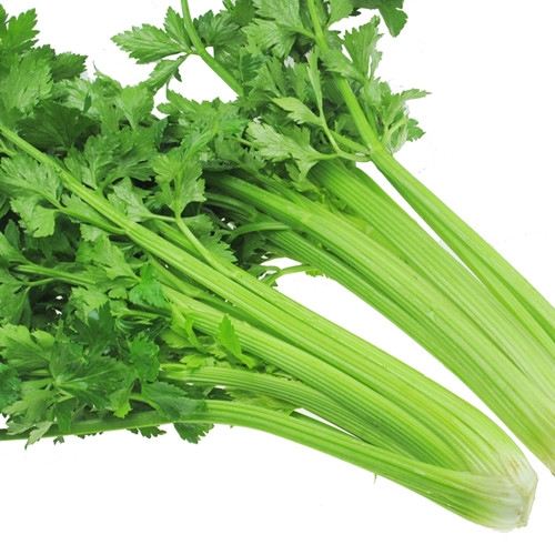 牙齿清洁多久做一次