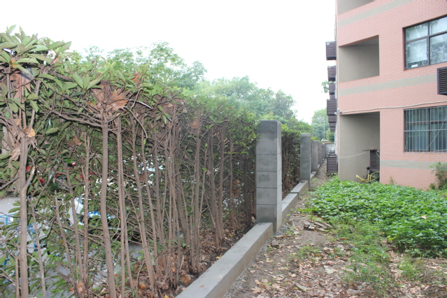 校园围墙施工现场