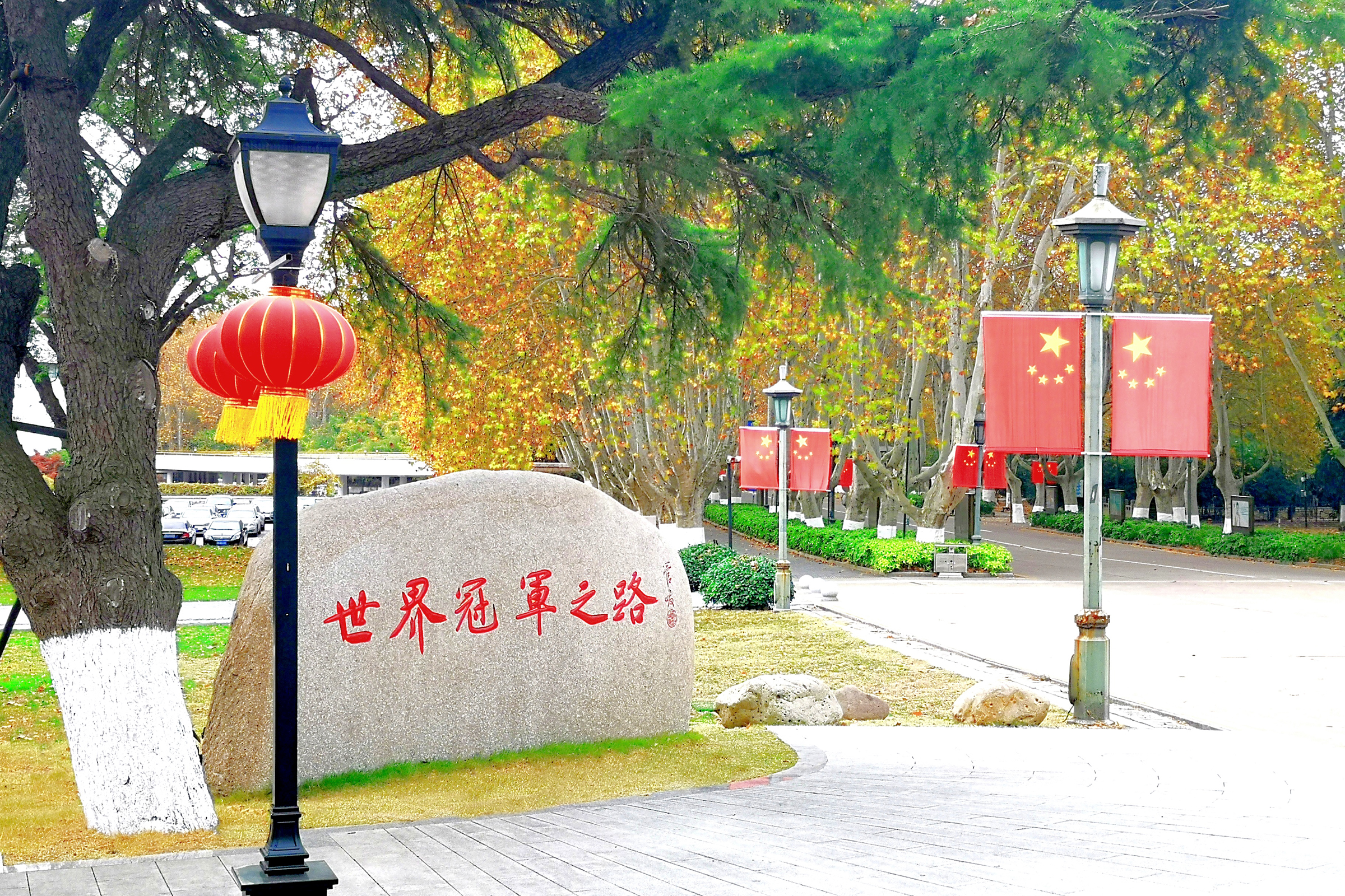 2019年8月，南京体育学院世界冠军之路正式建成。
