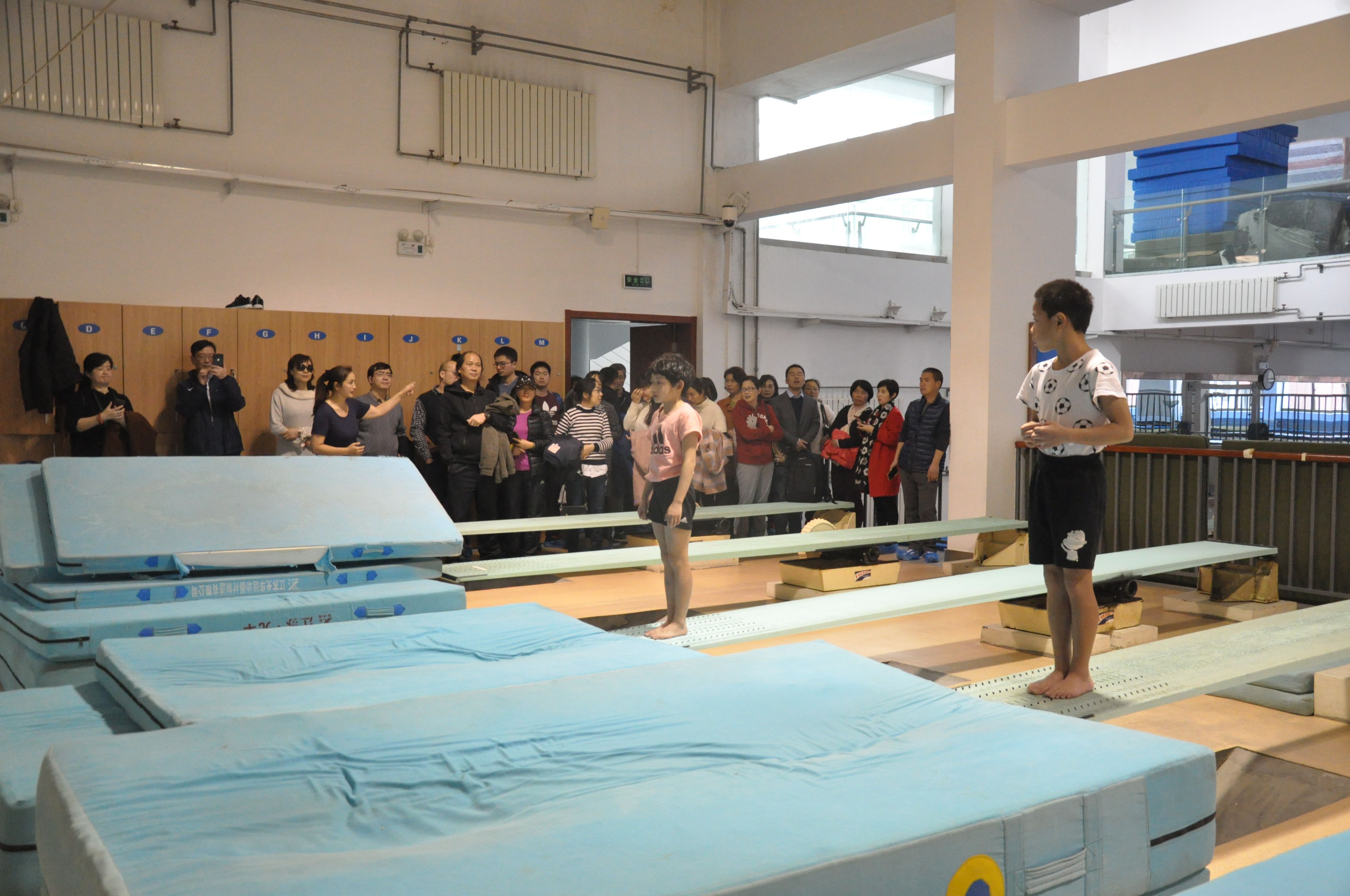 教师们观看跳水训练